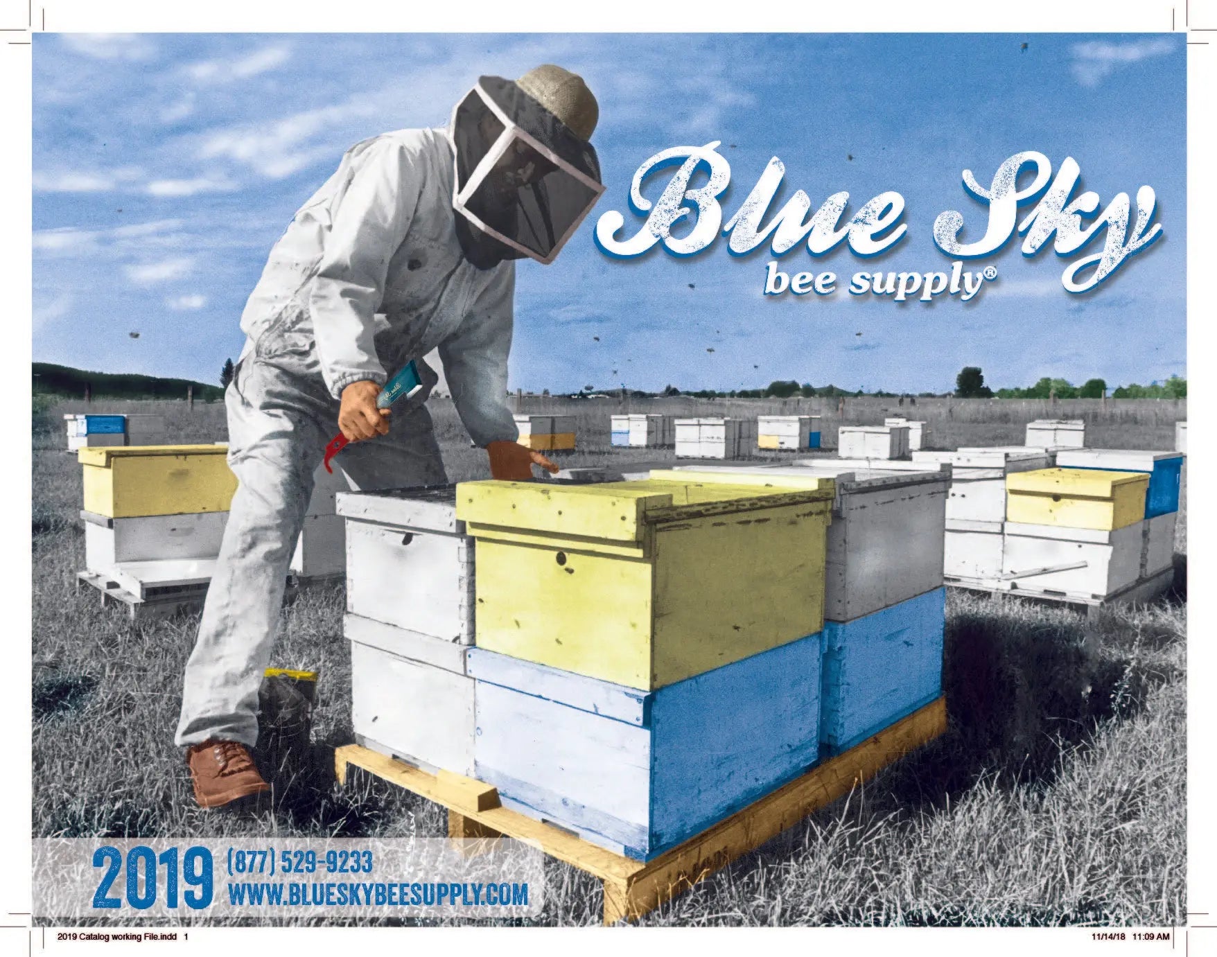 New Year, New Catalog! Blue Sky Bee Supply