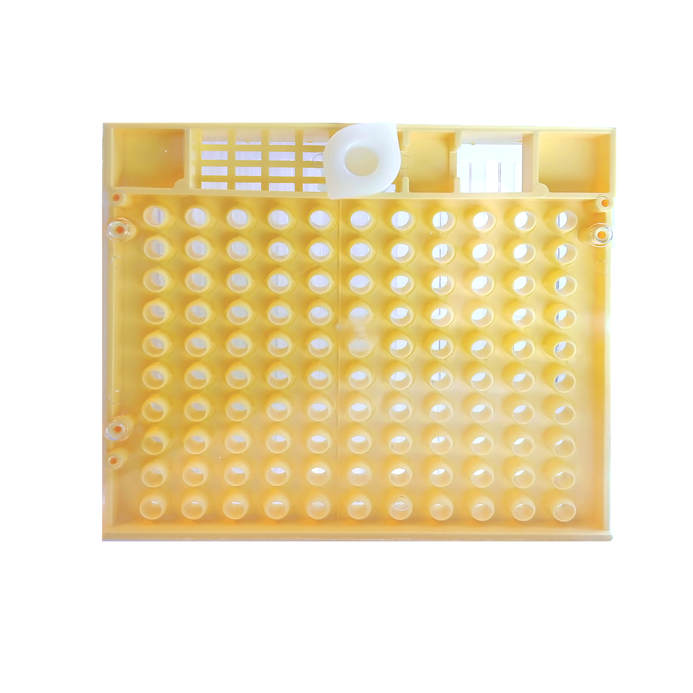 Cupularva / Nicot Queen Breeding Box [CQBB] | Blue Sky Bee Supply