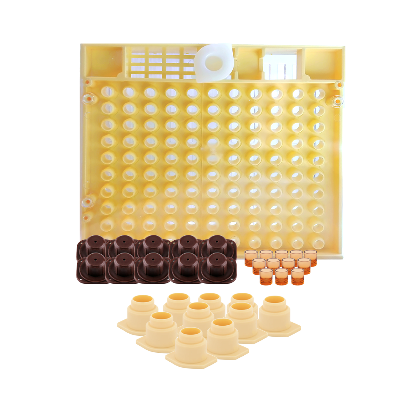 Cupularva / Nicot Queen Breeding Box Kit [CQBBK] | Blue Sky Bee Supply