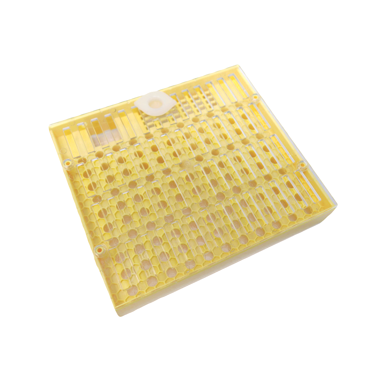 Cupularva / Nicot Queen Breeding Box [CQBB]