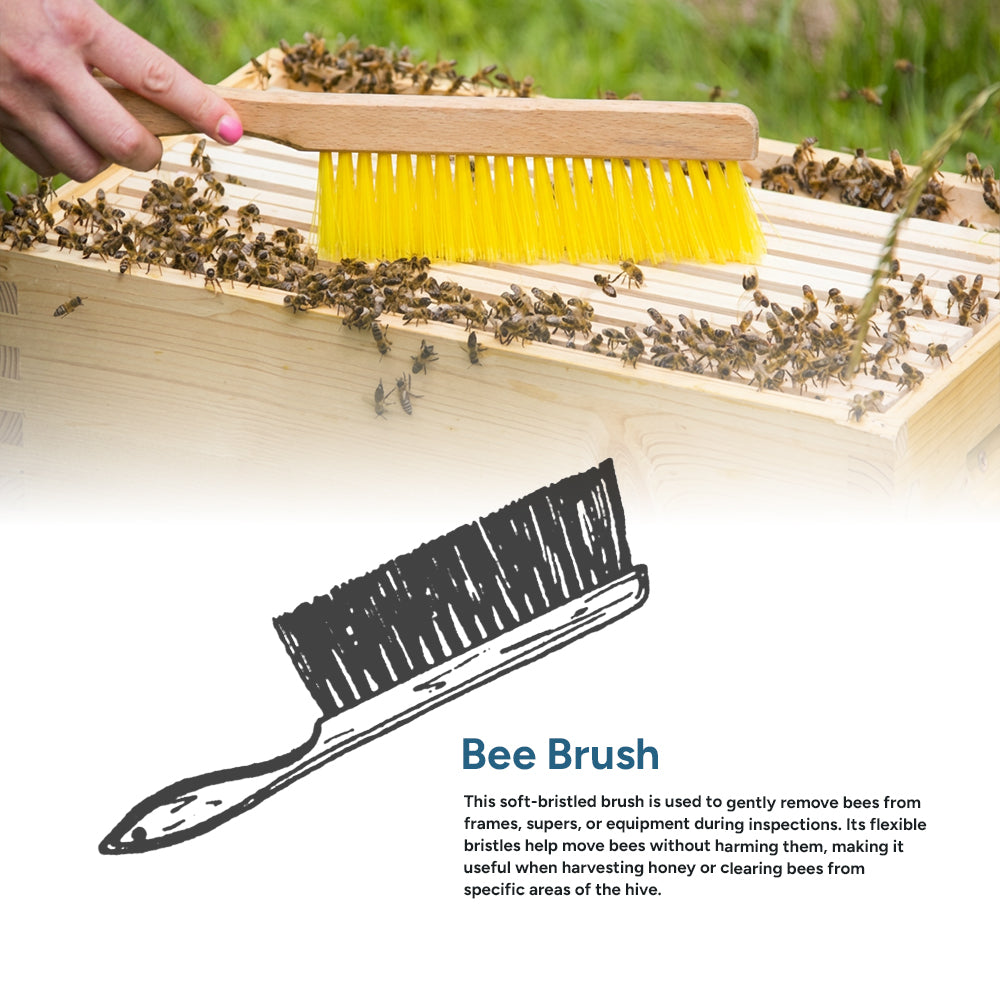 Bee Brush [775]