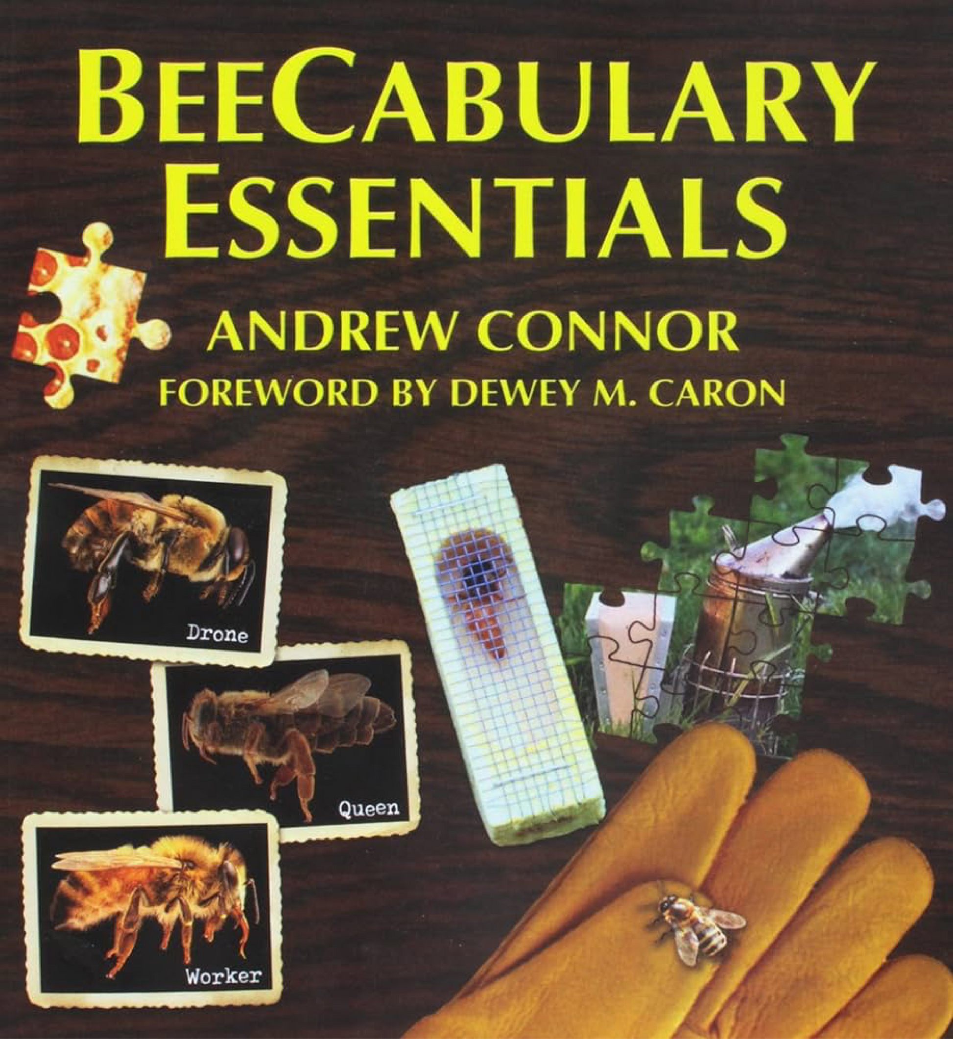 BeeCabulary Essentials