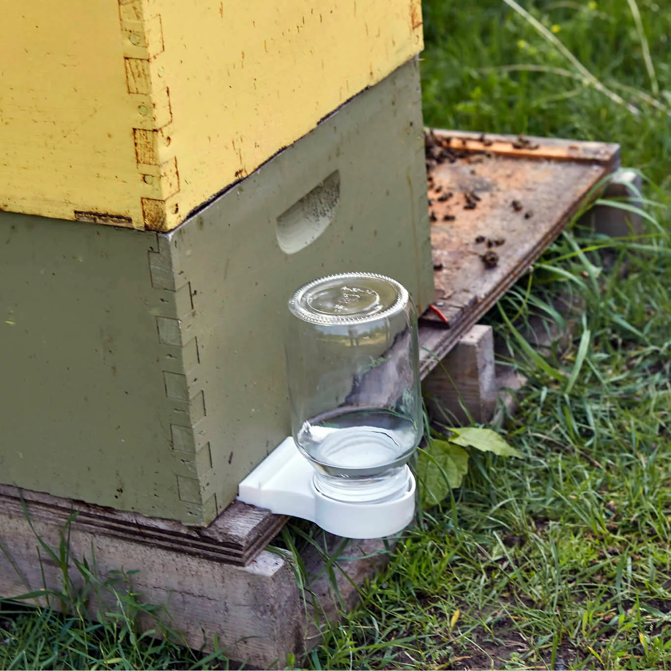 Entrance Feeder [GJEF]