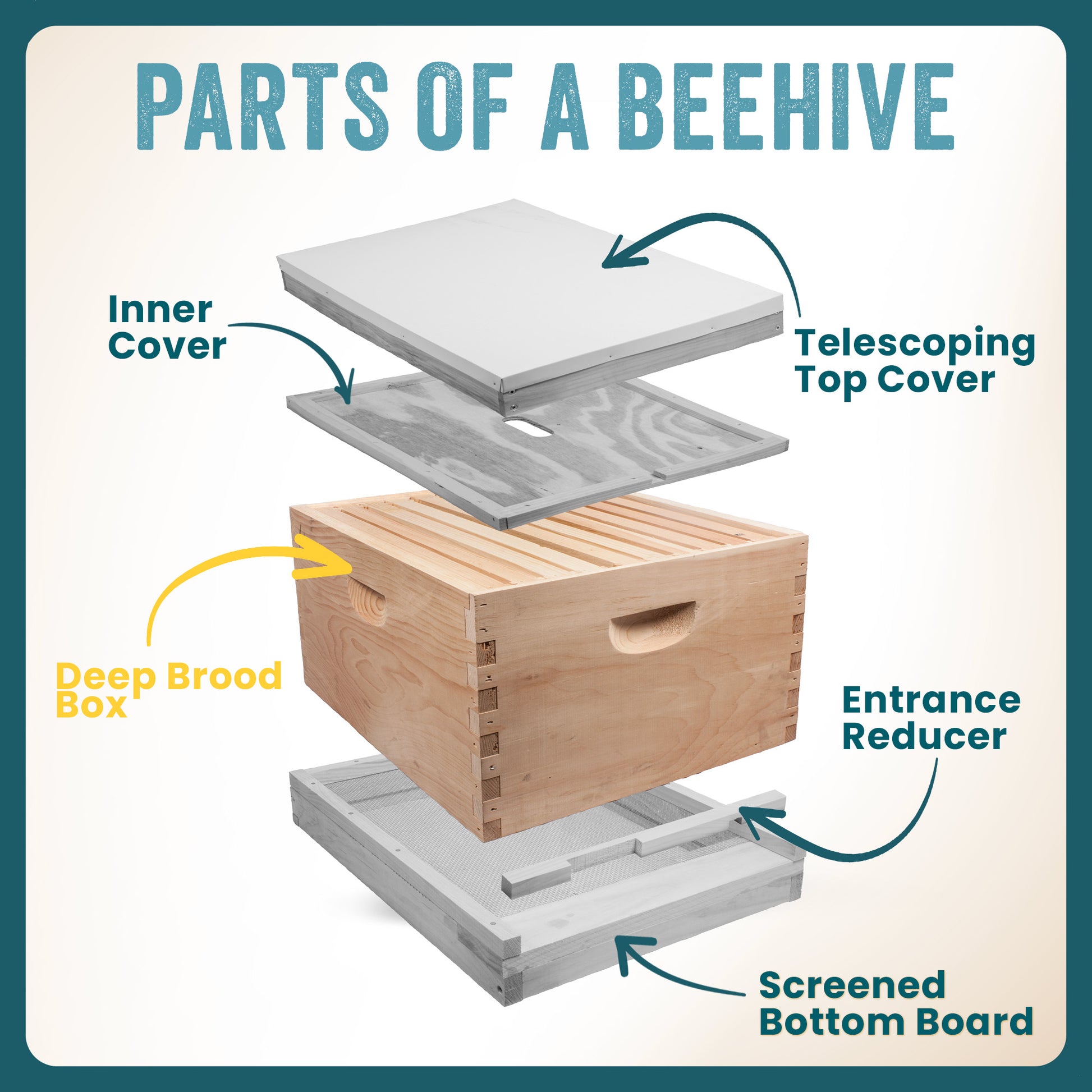 10 Frame WOOD Deep Hive Body (unassembled) [10-DEEP]