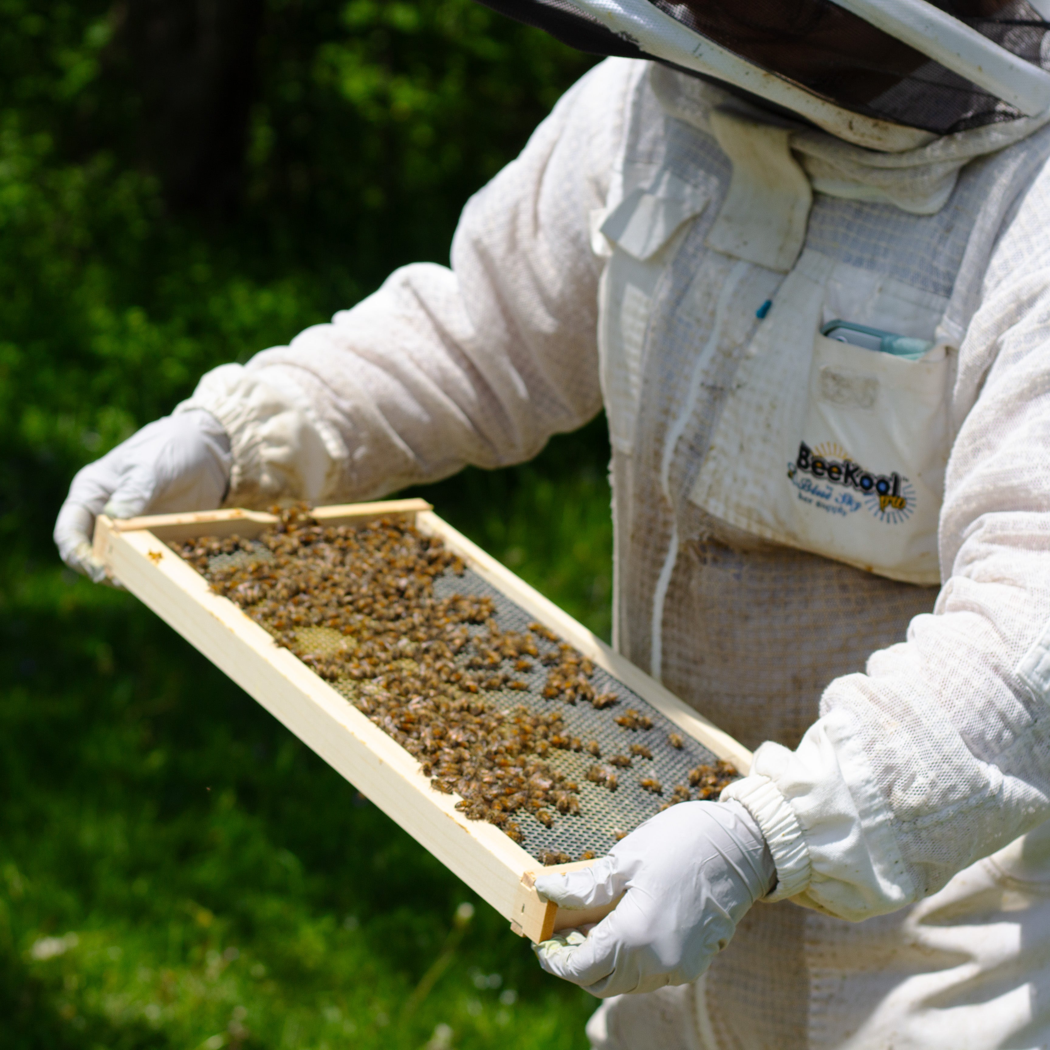 10-Pack Medium Bee Hive Frames – Unassembled Wooden Frames For Beekeeping