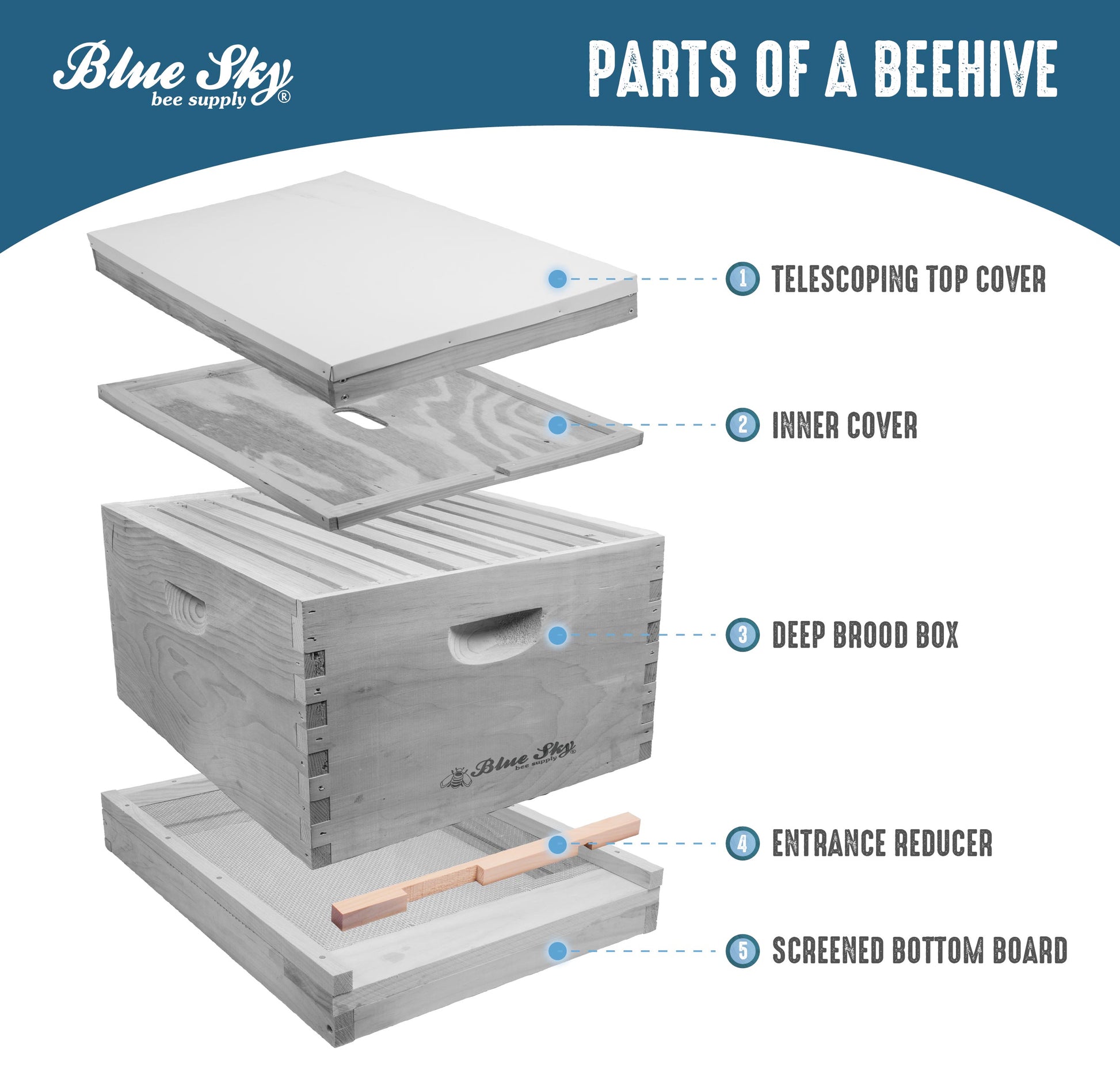 WOOD Entrance Reducer for 10 Frame [ER-10]