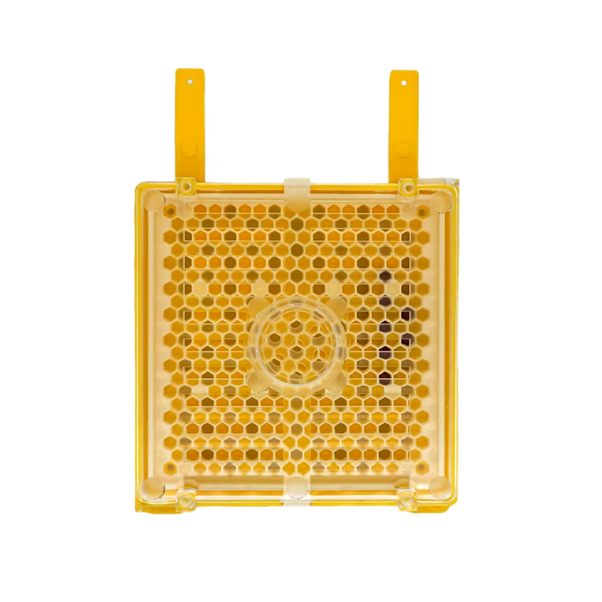 Jenter Brown Chassis w/Hangers