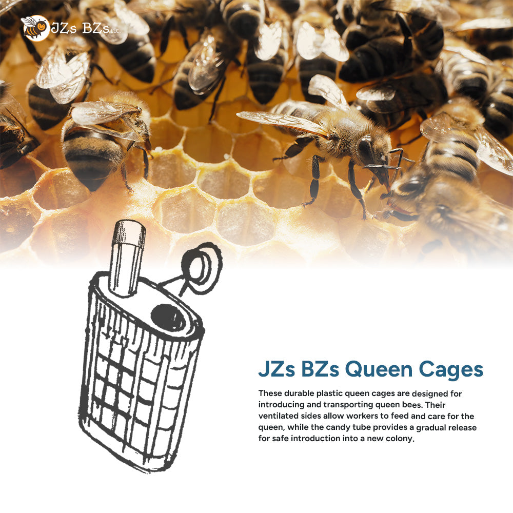 JZ's BZ's Queen Cages (50 count) [508] | Blue Sky Bee Supply