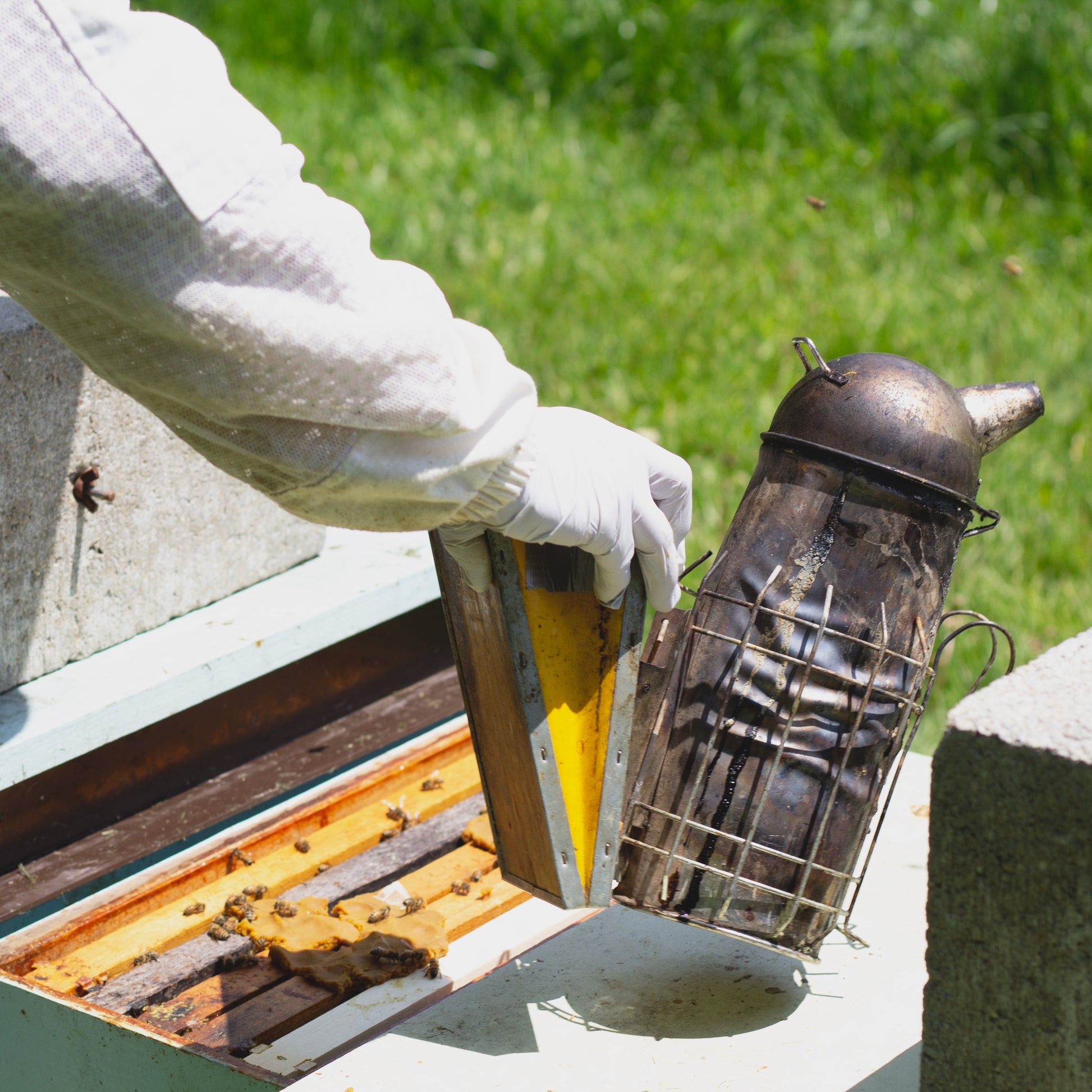 Large Lega Smoker [C3405]