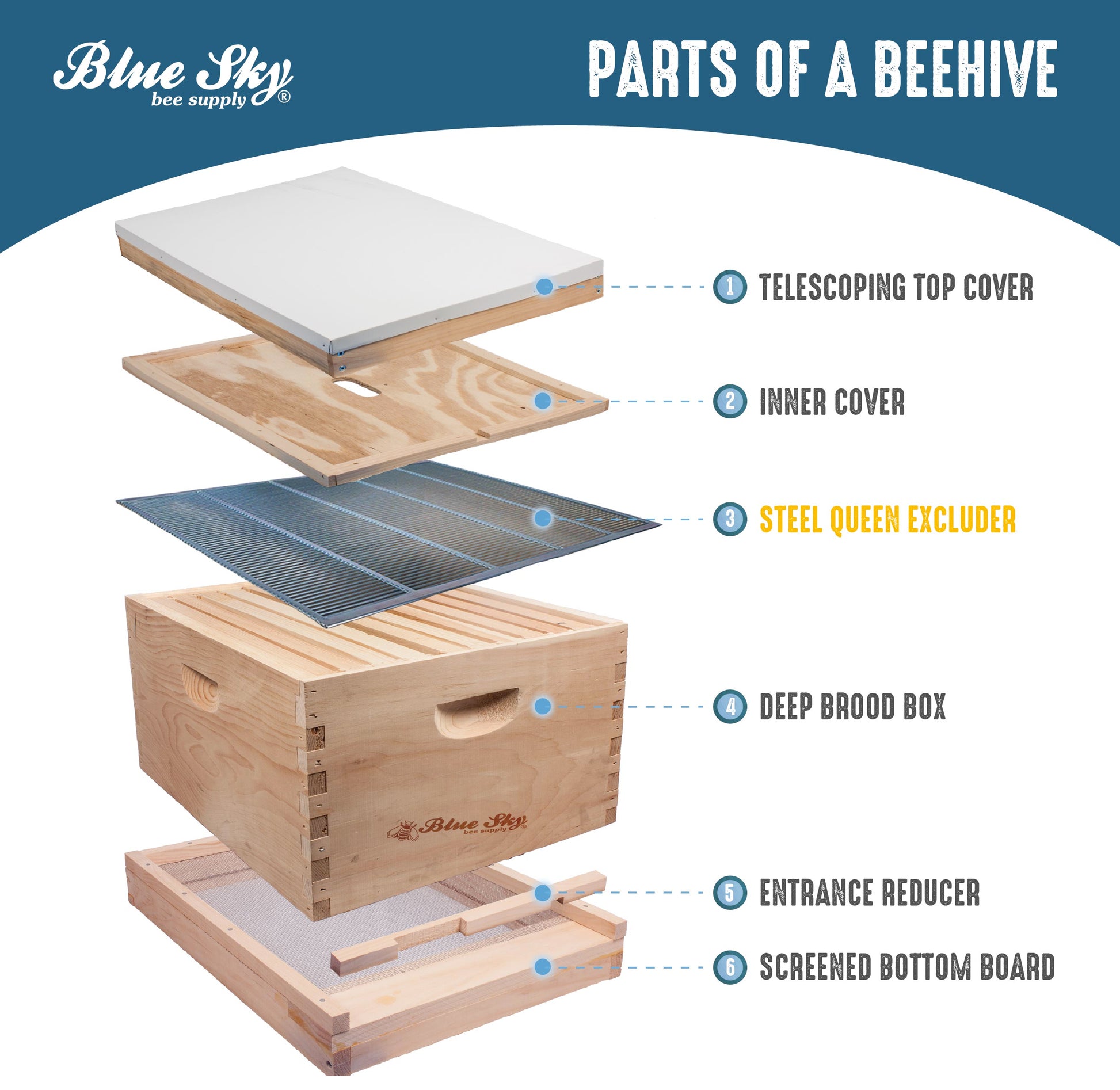 Steel Queen Excluder (10 Frame) [M685]