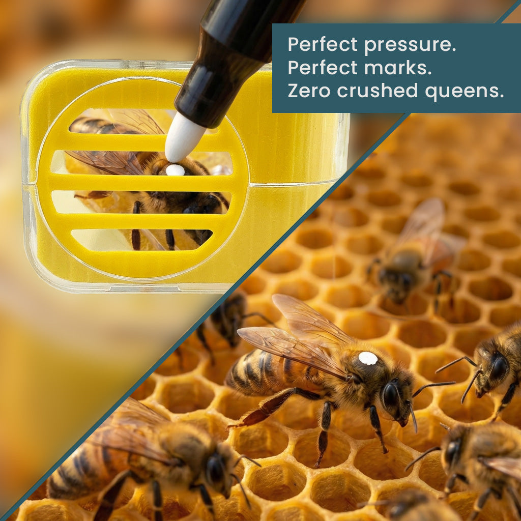 One Handed Queen Catcher [HQC]