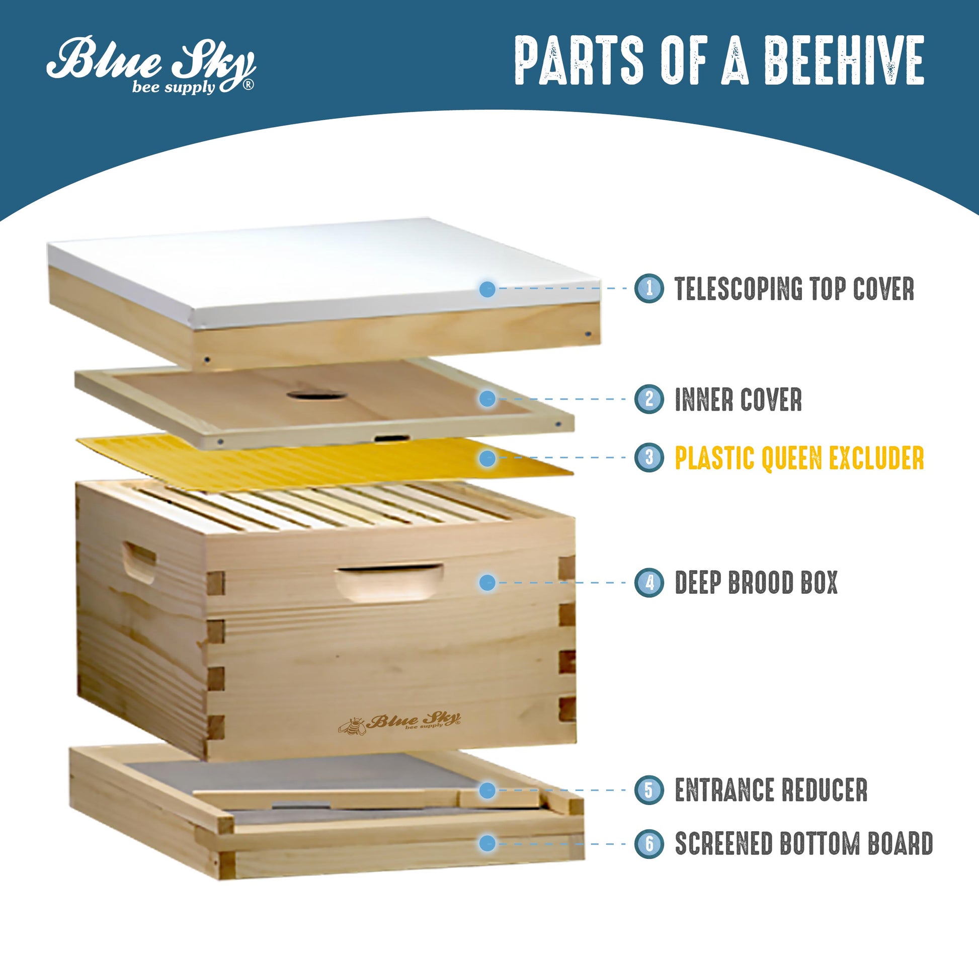 10 Frame Plastic Queen Excluder [685]