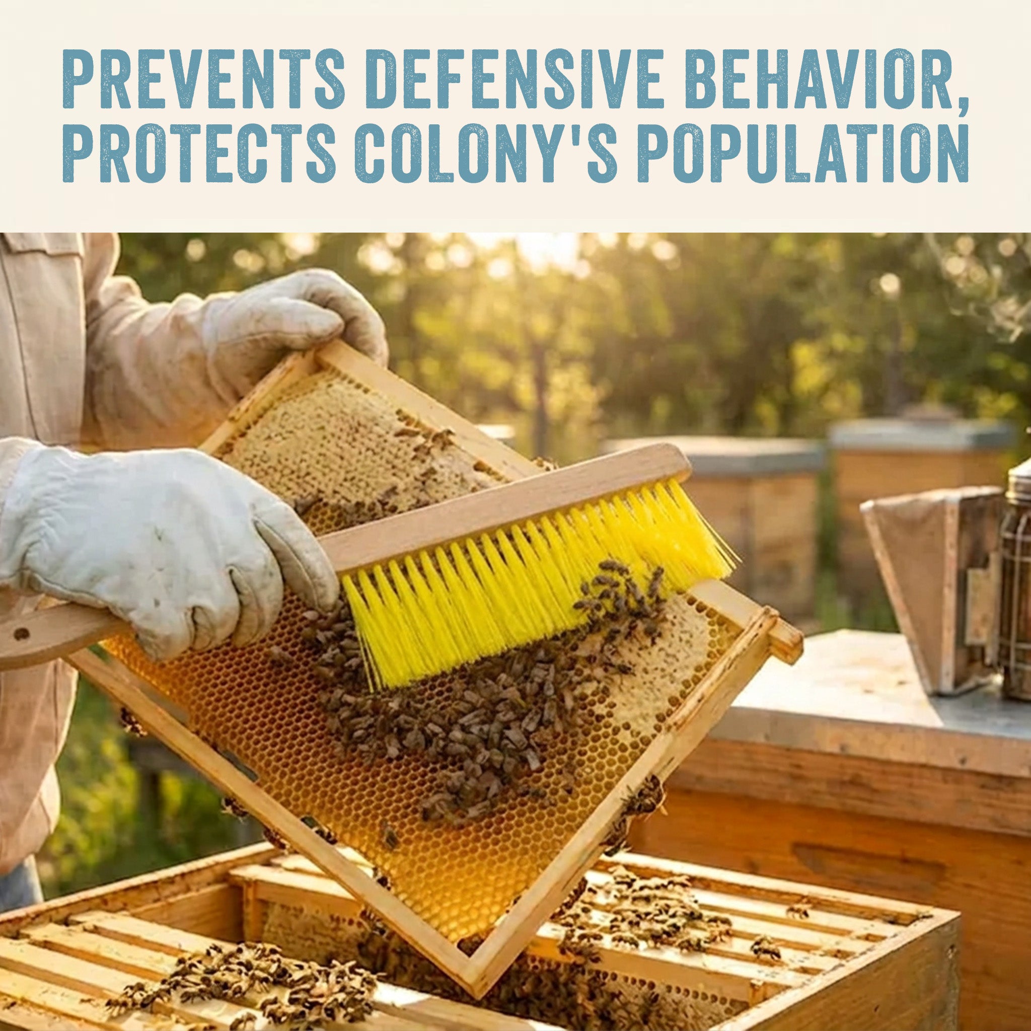 Bee Brush [775] | Blue Sky Bee Supply