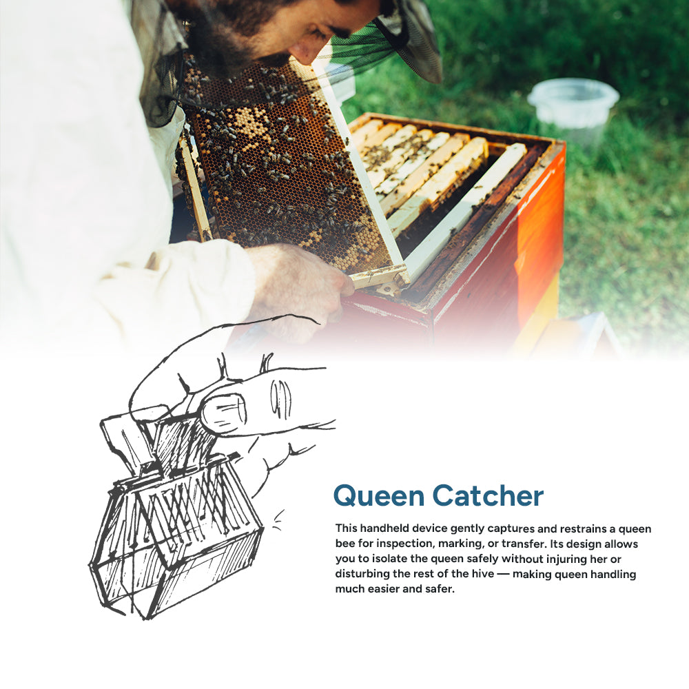 Queen Catcher (stainless steel) [SSQ]