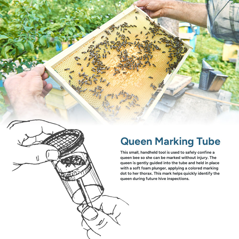Queen Marking Tube [QMT]