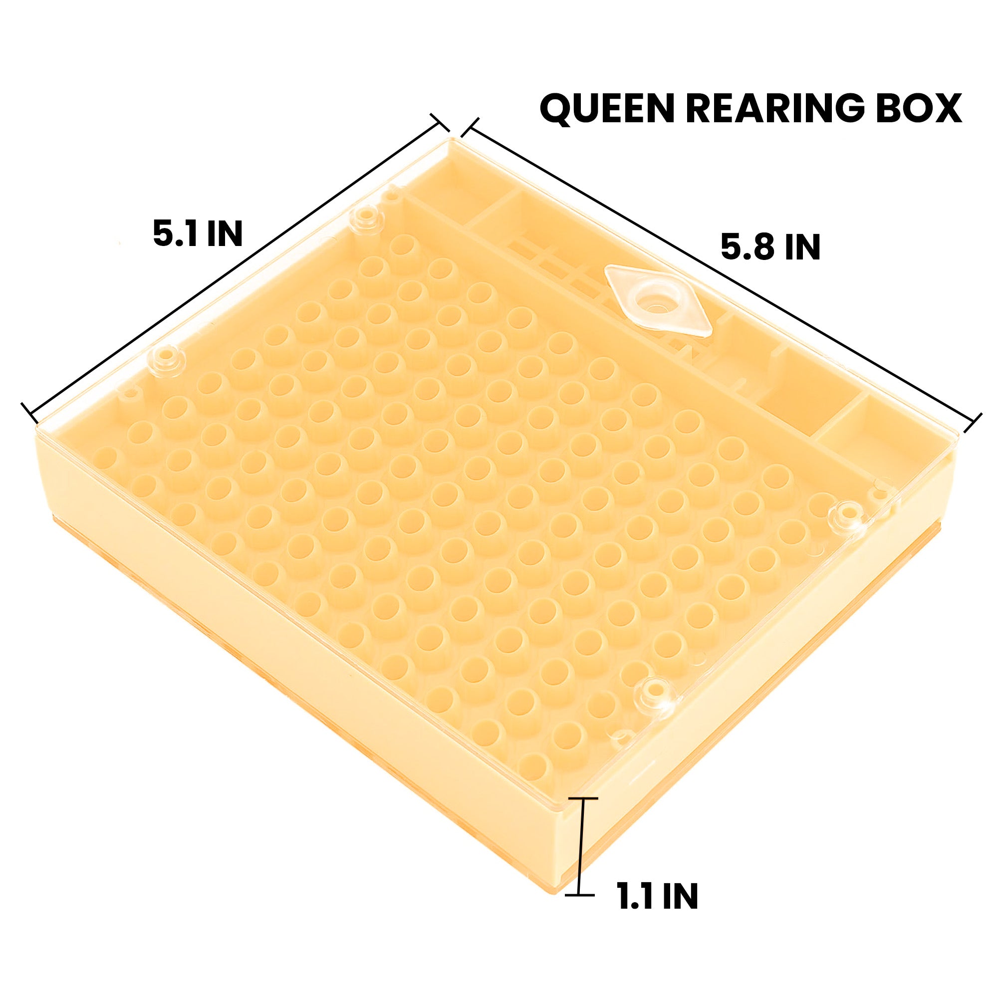 cocklobin cd セット Cupularva / Nicot Queen Breeding Box Kit [CQBBK] | Blue Sky Bee Supply