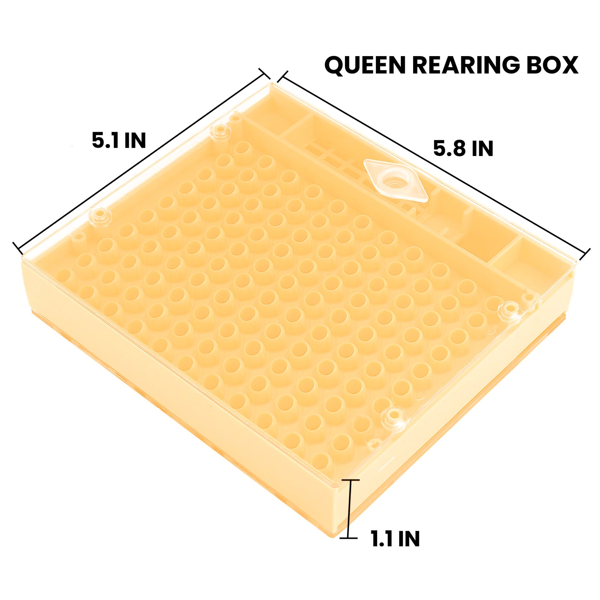 Cupularva / Nicot Queen Breeding Box Kit [CQBBK]
