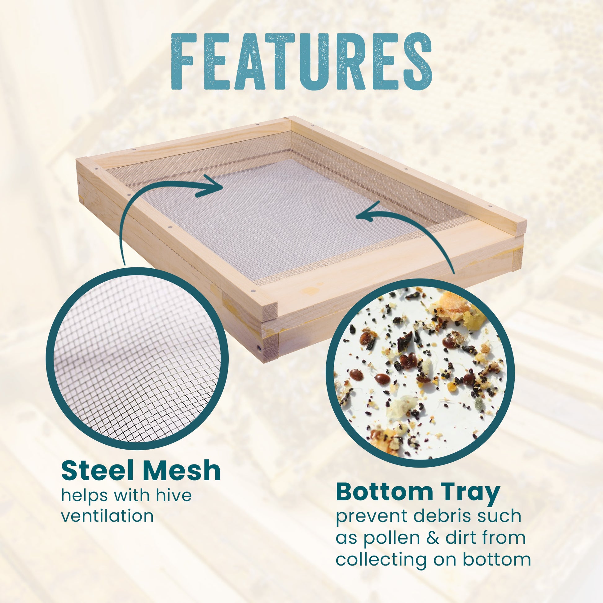 10 Frame WOOD Screened Bottom Board [10-SCR]
