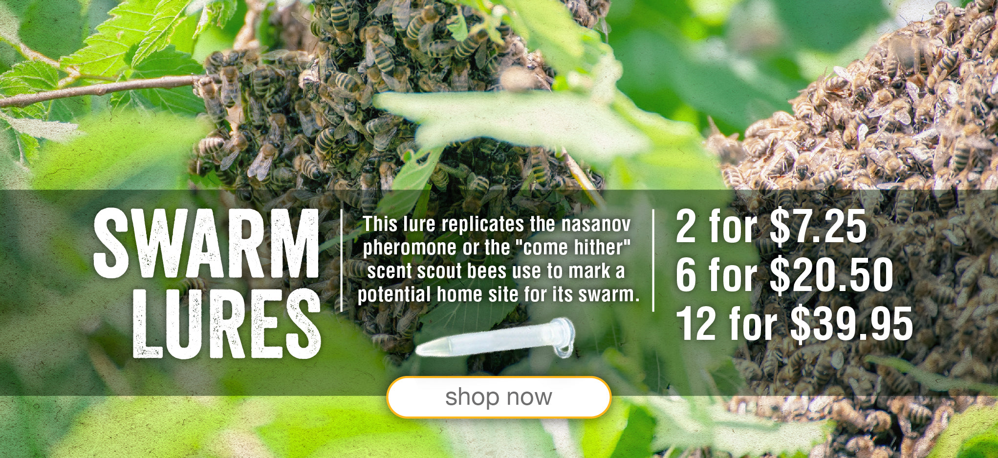 Blue Sky Bee Supply Honey Bottles & Beekeeping Equipment for All