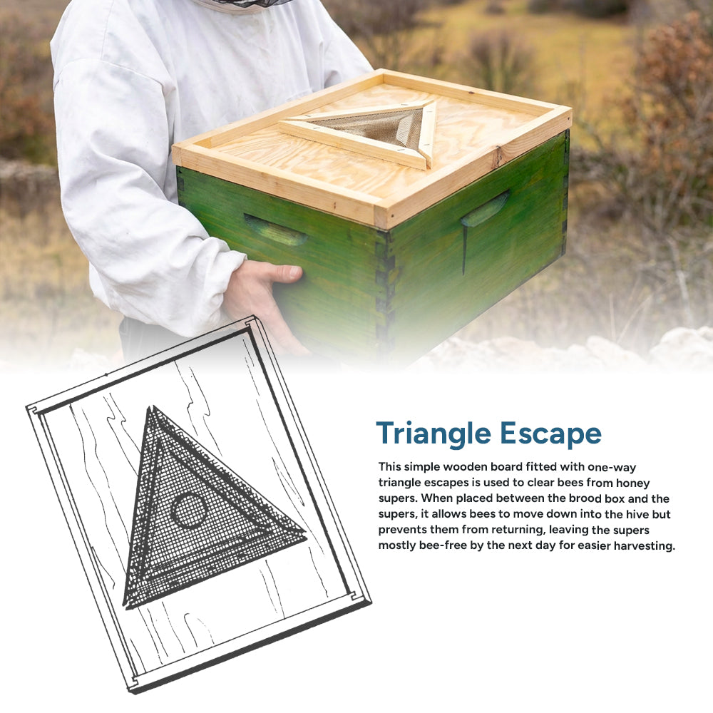 8 Frame Triangle Escape [776]