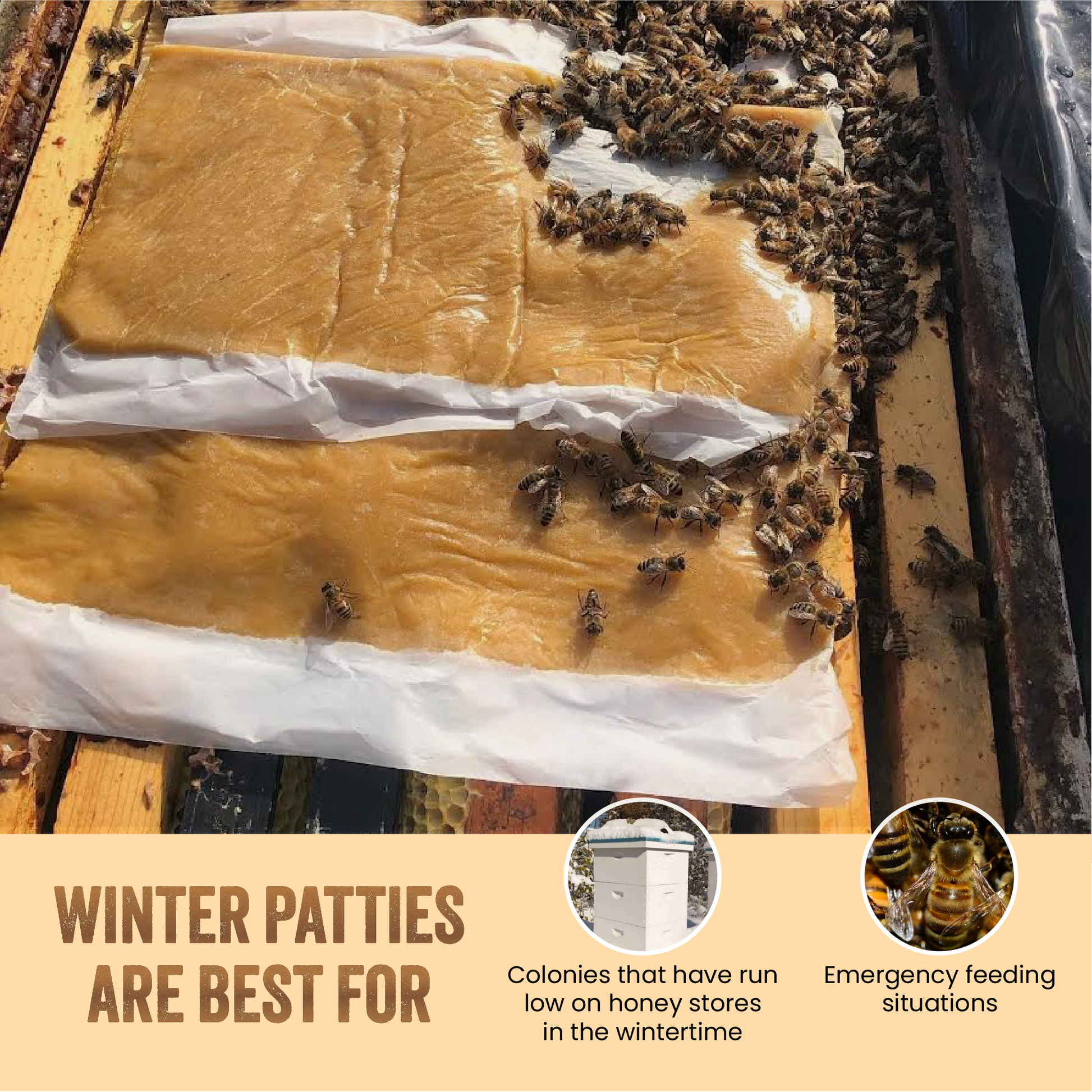 Winter Patties w/Honey-B-Healthy (10 lb. or 40 lb. box)