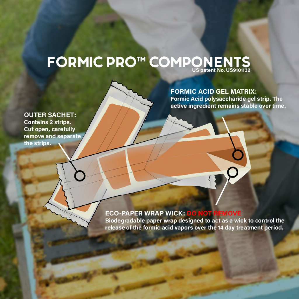 Formic Pro 4 pads (2 treatment pack) [FPRO-4]