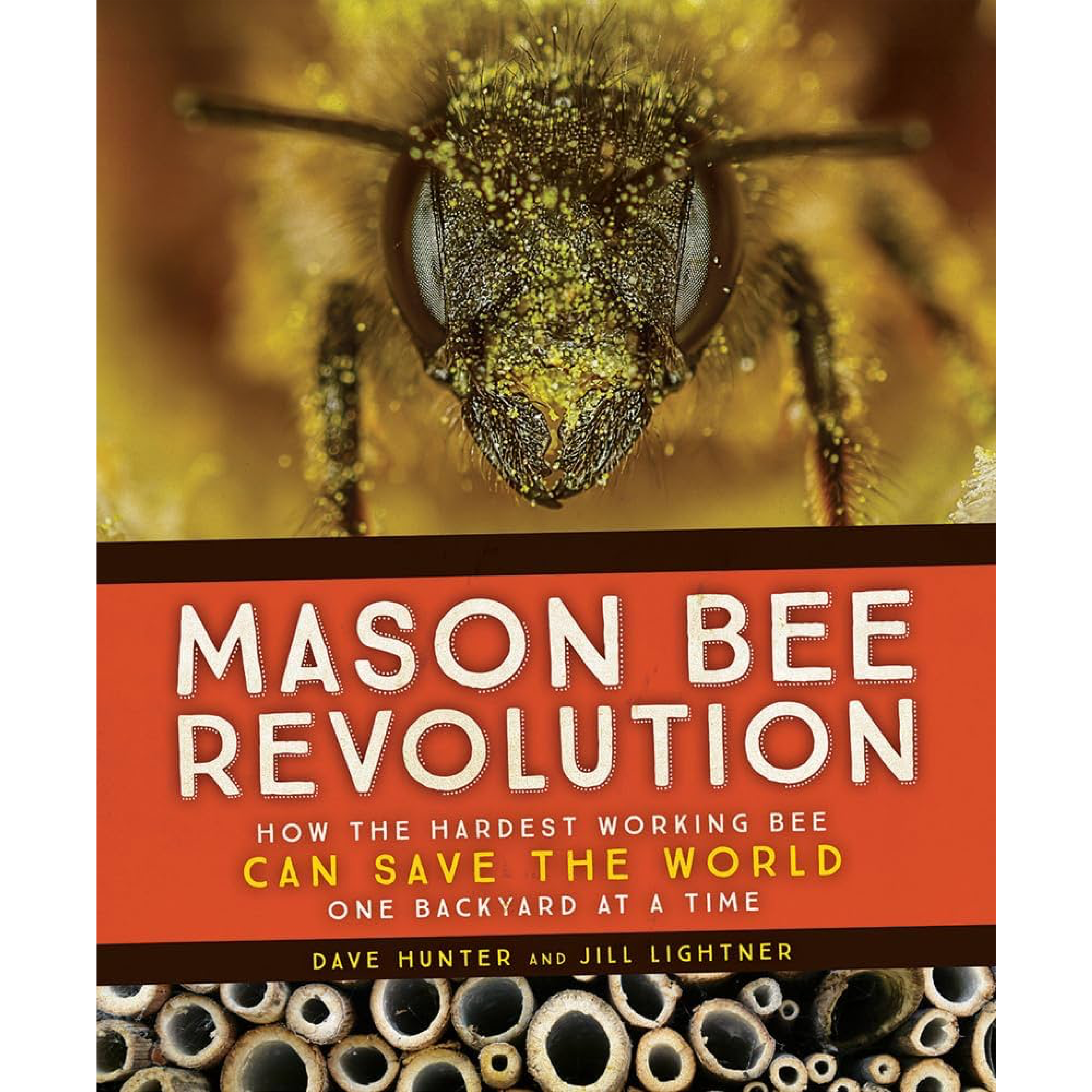 Mason Bee Revolution [1060]