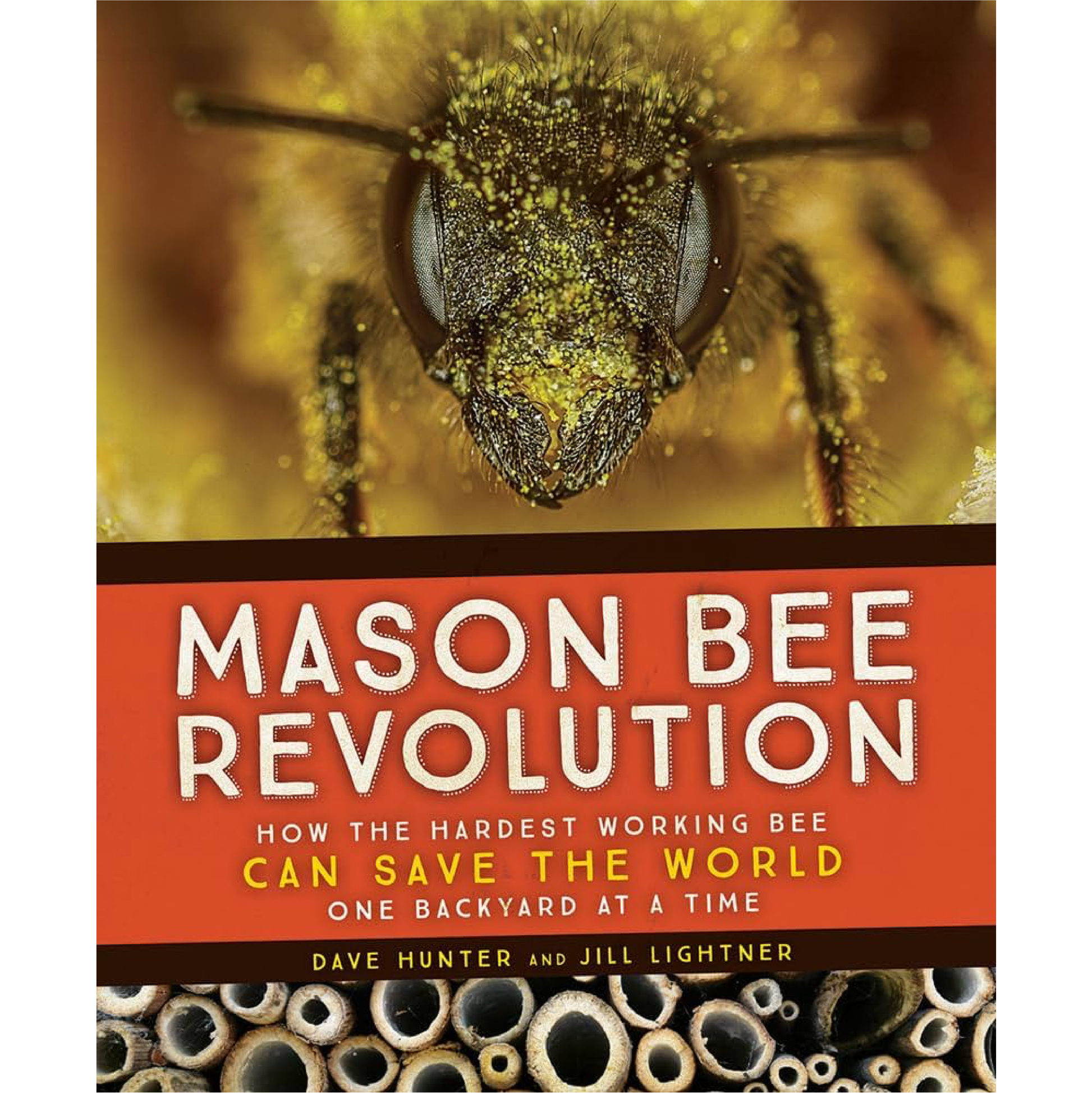 Mason Bee Revolution [1060]