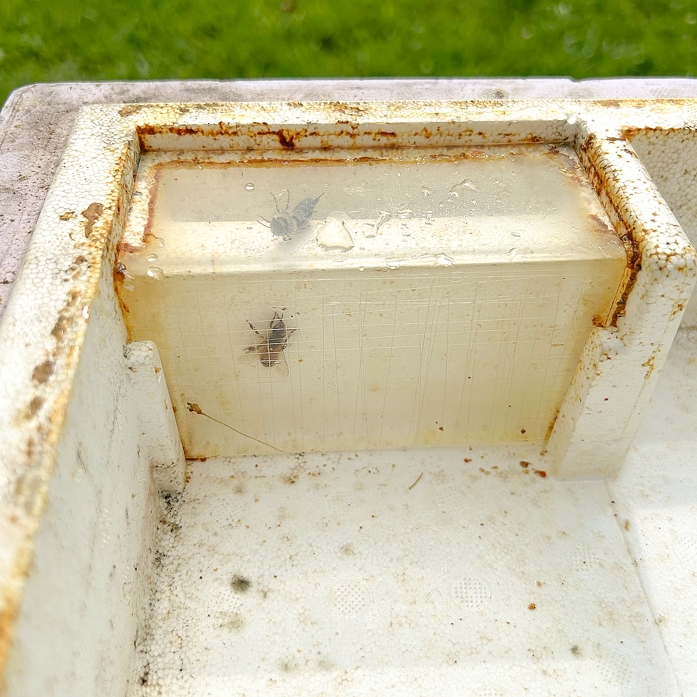 Polystyrene 6 Frame Nuc Feeder [PNF]